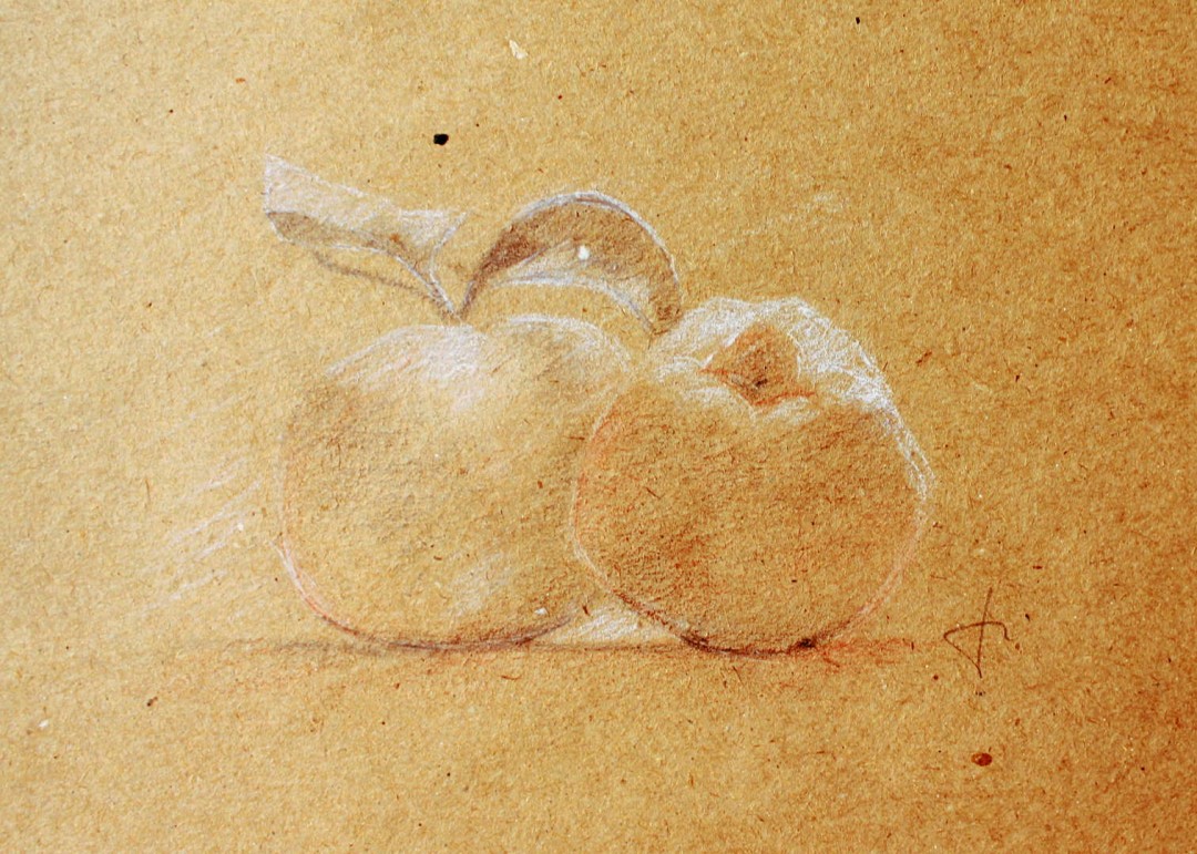 Pommes - Crayon noir sanguine et craie - 21 x 16